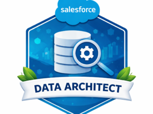 Salesforce Data Architect