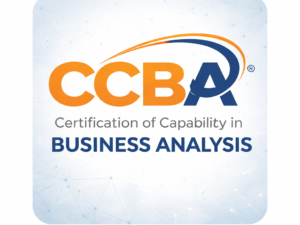 Certification of Capability in Business Analysis (CCBA)